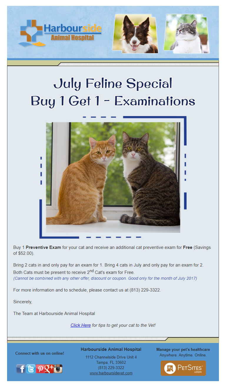 Harbourside Animal Hospital Tampa FL 33602